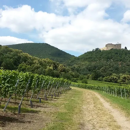 Affittacamere Gaestehaus Weingut Glas Neustadt an der Weinstraße