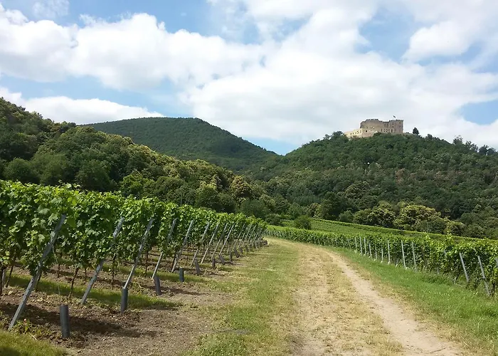 招待所 Gaestehaus Weingut Glas Neustadt an der Weinstraße