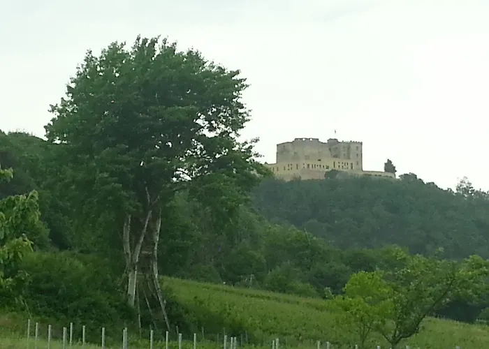 Gaestehaus Weingut Glas Neustadt an der Weinstraße